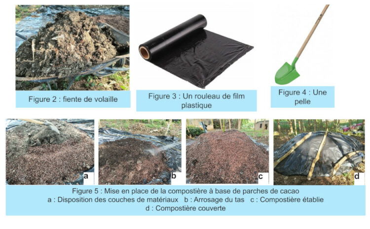 Bien produire le compost à base de parche de cacao pour la fertilisation d’une bananeraie
