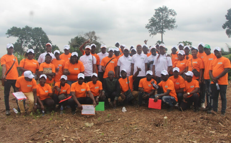 Abengourou : Sécurité alimentaire