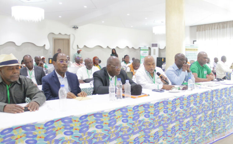 Yamoussoukro : Atelier de plan stratégique